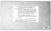Puccinia recondita image